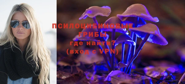 индика Алзамай