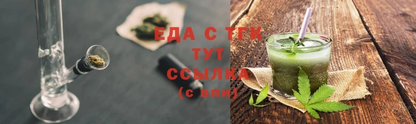 индика Алзамай
