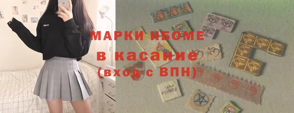 индика Алзамай