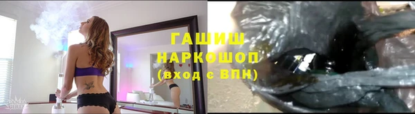 индика Алзамай